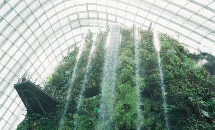 sustainable digital transformation